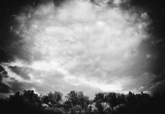 Wald und Wolken: Vintage Postkarte