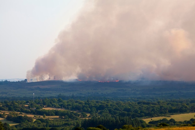 Waldbrand in brasparts in den monts d'arree