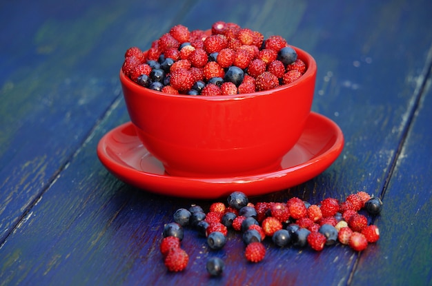 Walderdbeere und Blaubeeren in einer roten Schüssel