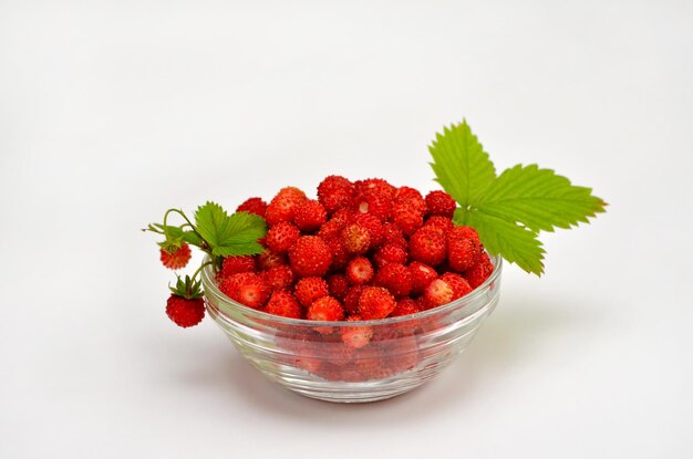 Walderdbeeren in einer Glasschüssel auf weißem Hintergrund