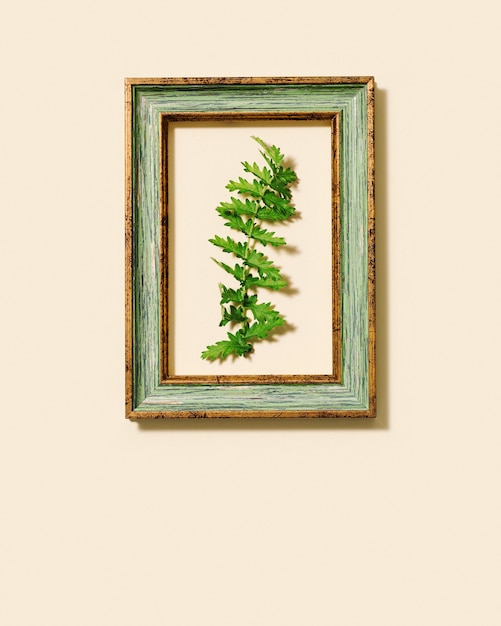 Waldfarnblatt des wilden grünen Grases im alten Rahmen auf blassrosa farbiger Wand