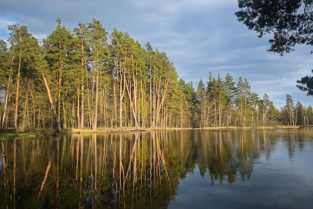 Waldfluss Anfang Mai