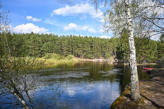 Waldfluss im Mai