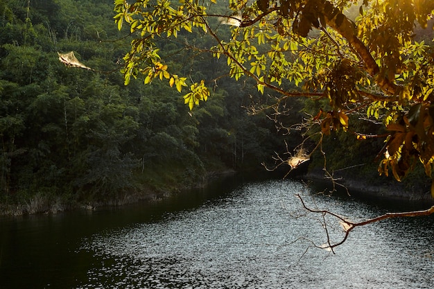 Waldgebirgswasserfall natürlich in Thailand