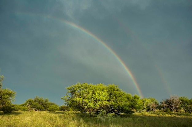 Waldlandschaft mit Regenbogen Pampas Argentinien