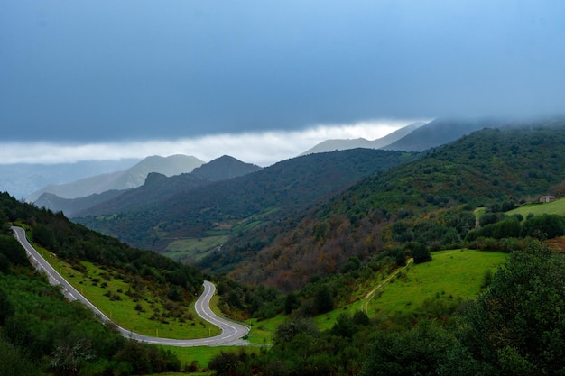 Waldlandschaft von Teverga in Asturien - Spanien