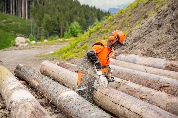 Waldlandwirt als Waldarbeiter bei dem Baum fiel in die Waldkettensauge Mann arbeitet mit