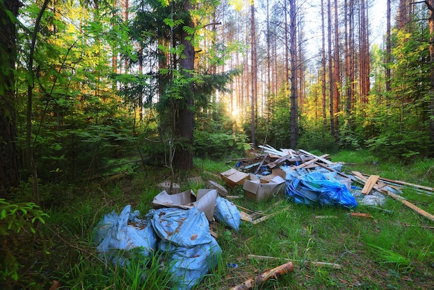 Waldmüllkippe Ökologiekonzept, Umweltverschmutzung Naturschutz des Waldes vor Müll