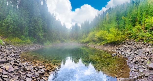 Waldnebliges blaues Seepanorama