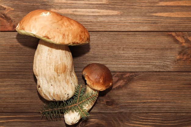 Waldpilze Boletus essbar auf einem hölzernen Hintergrund mit Platz für Text