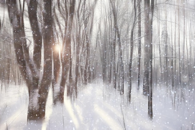 Waldschnee verschwommener Hintergrund / Winterlandschaft schneebedeckter Wald, Bäume und Äste im Winterwetter