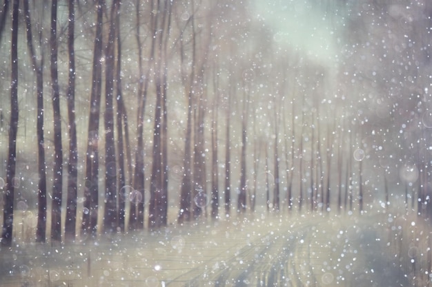 Waldschnee verschwommener Hintergrund / Winterlandschaft schneebedeckter Wald, Bäume und Äste im Winterwetter