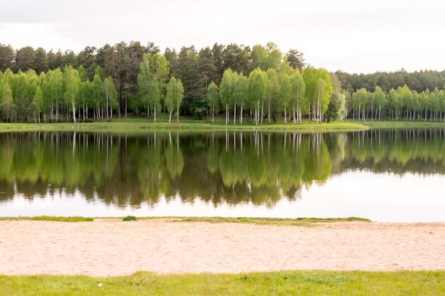 Waldsee Fluss im Wald