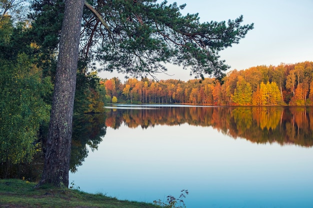 Waldsee im goldenen Herbst