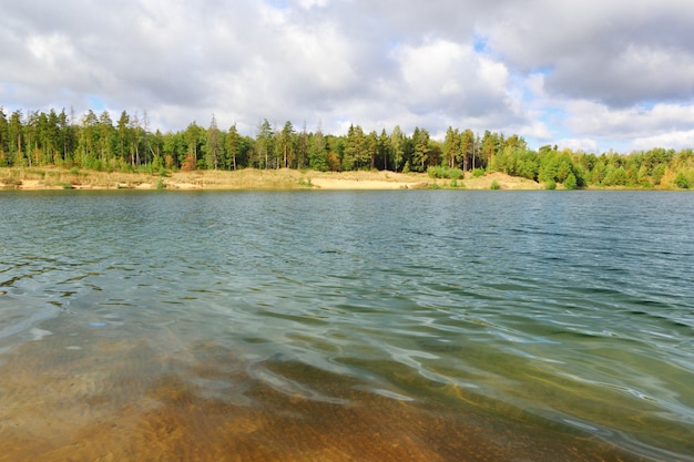 Waldsee unter blauem bewölktem himmel