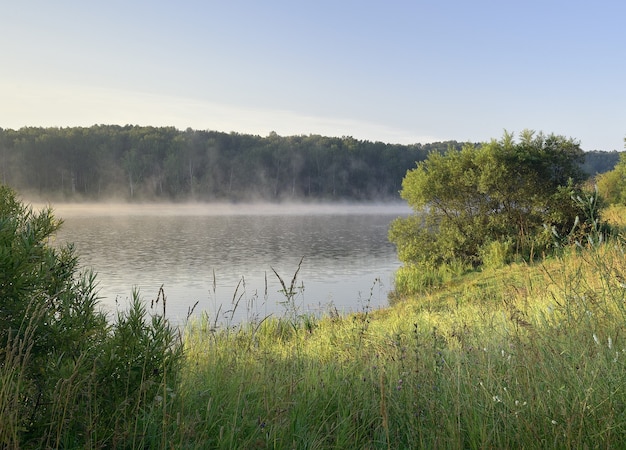 Waldseeufer am Morgen