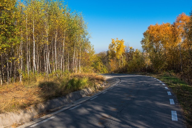 Waldstraße im Herbst