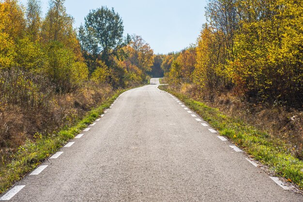 Waldstraße im Herbst