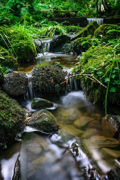 Waldstrom, der über moosige Felsen läuft