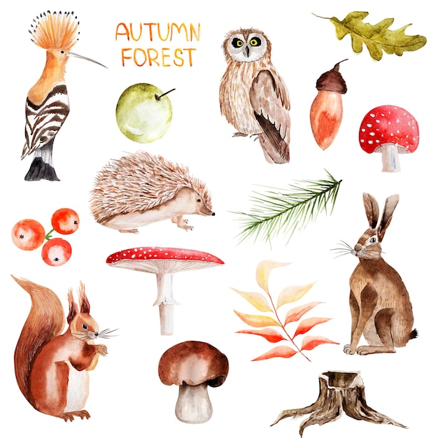 Waldtiere und Pflanzen Aquarellelement-Set