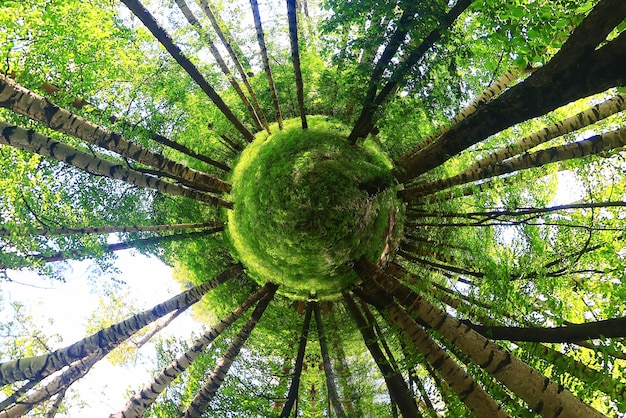 Foto waldtunnel kleiner planet abstrakter landschaftshintergrund