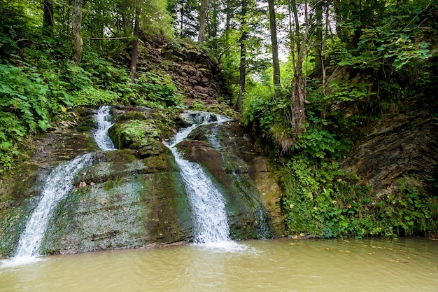 Waldwasserfälle in den Bergen