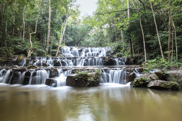 Waldwasserfall im Nationalpark, Panorama