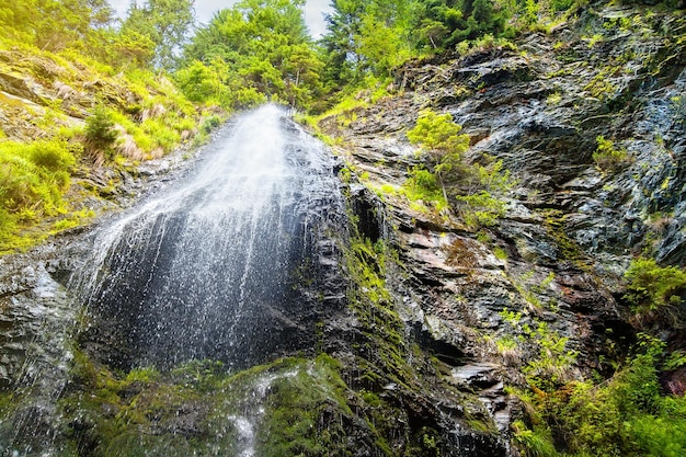 Waldwasserfall und mit Moos bedeckte Felsen