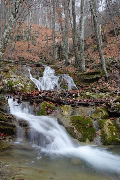 Waldwasserfall