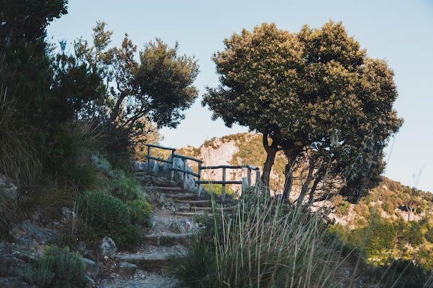 Waldweg in den Bergen. Pfad des Gottes namens Sentiero Degli Dei an der Amalfiküste. Italien