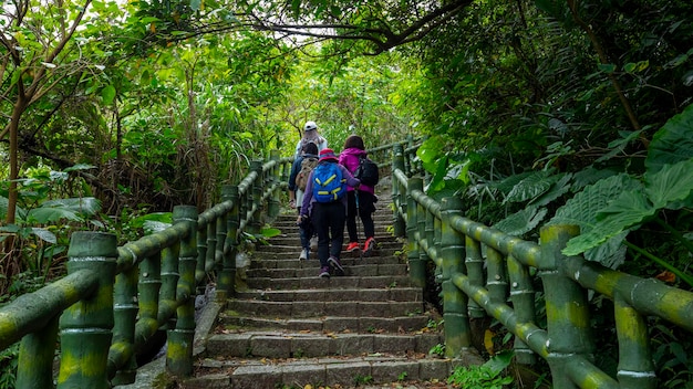 Waldweg Waldweg Kletterwandertouristen