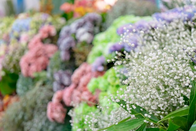 Wand aus Blumen und Kräutern.