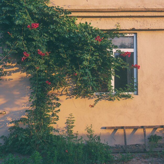 Wand und Fenster eines Landhauses