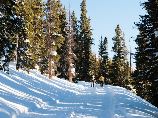 Wanderer auf dem Berthoud Pass, Colorado.