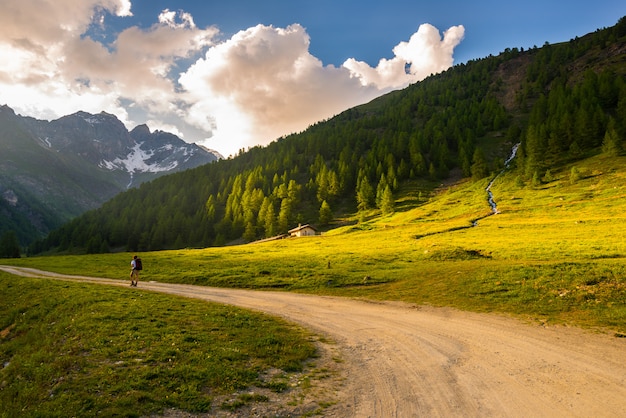 Wanderer, der in der idyllischen Landschaft wandert. Sommererlebnisse und Erkundungstouren in den Alpen durch blühende Wiesen und grüne Wälder inmitten von Höhengebirgen bei Sonnenuntergang