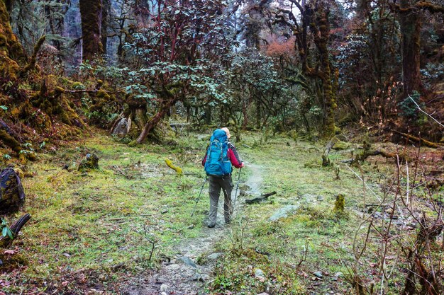 Wanderer im Himalaya-Dschungel, Nepal, Region Kanchenjunga