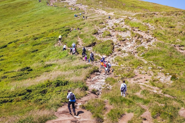 Wanderer in den Bergen