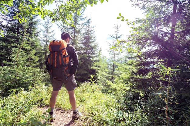 Wanderer in den Bergen