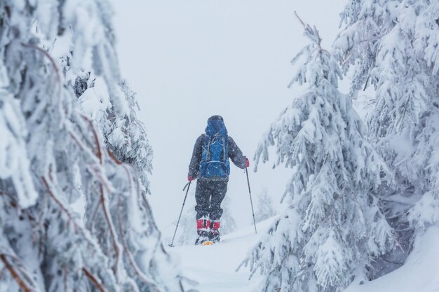 Wanderer in den Winterbergen