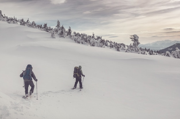 Wanderer in den Winterbergen