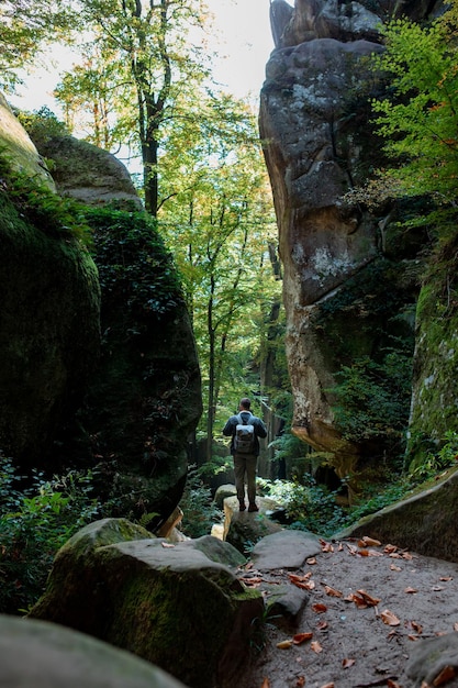 Wanderer mit Rucksack in Schlucht mit Wald