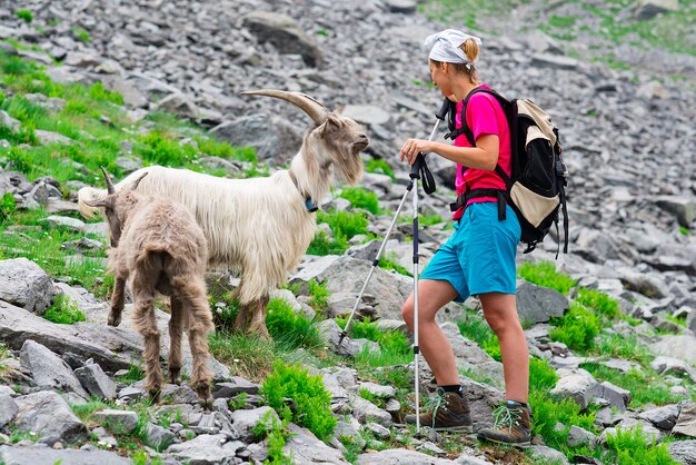 Wandererin in den Bergen trifft eine Ziege