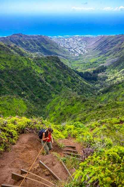 wanderermädchen erklimmt einen steilen pfad auf oahu mit der skyline von honolulu im hintergrund auf dem wiliwilinui ridge trail