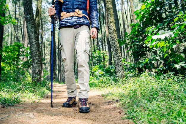 Wanderermann mit dem Rucksack- und Wanderstockgehen