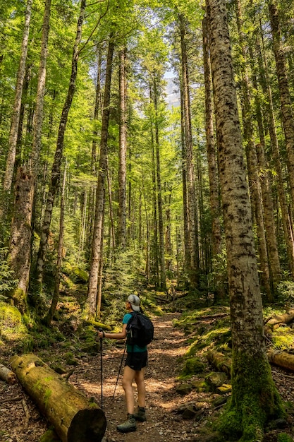 Wanderfrau, die im Wald im Nationalpark Ordesa und Monte Perdido spazieren geht