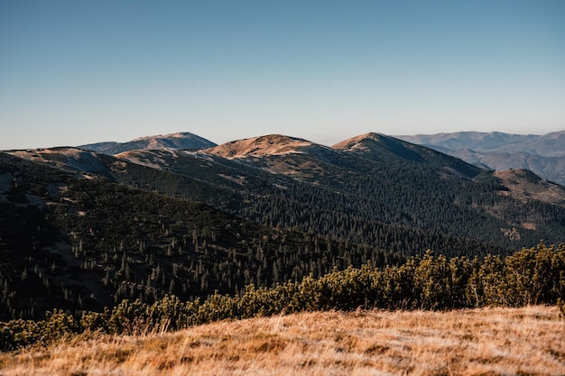 Wandern Chabenec vom Dorf Magurka nach Durkova Hütte sehr beliebtes Wanderziel im Nationalpark Niedere Tatra Slowakei Natur Region Liptov Winter gefrorene Landschaft