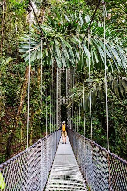 Wandern im grünen tropischen Dschungel, Costa Rica, Mittelamerika