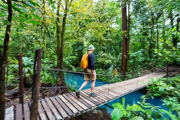 Wandern im grünen tropischen Dschungel, Costa Rica, Mittelamerika