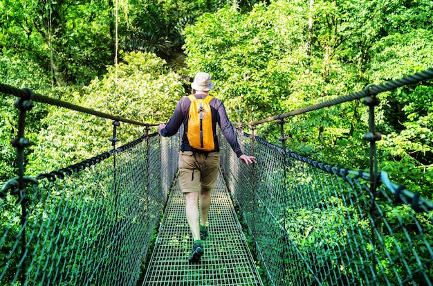 Wandern im grünen tropischen Dschungel, Costa Rica, Mittelamerika