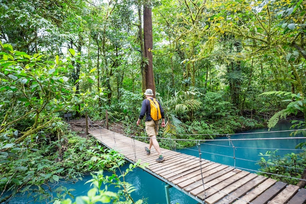 Wandern im grünen tropischen Dschungel, Costa Rica, Mittelamerika